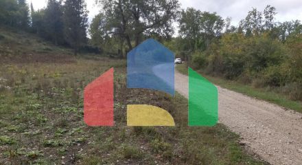 Продажа - Земельный участок 5000 m² на о. Корфу Продажа - Земельный участок 5000 m² на о. Корфу