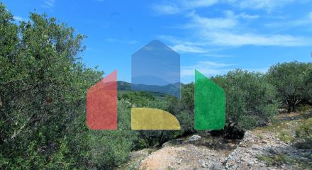 Продажа - Земельный участок 4000 m² на о. Корфу Продажа - Земельный участок 4000 m² на о. Корфу