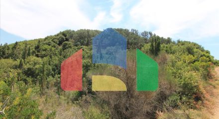 Продажа - Земельный участок 4000 m² на о. Корфу Продажа - Земельный участок 4000 m² на о. Корфу