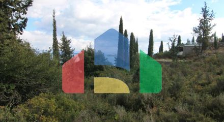 Продажа - Земельный участок 6000 m² на о. Корфу Продажа - Земельный участок 6000 m² на о. Корфу