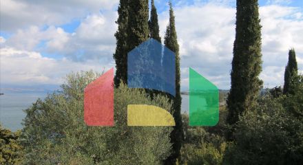 Продажа - Земельный участок 6000 m² на о. Корфу Продажа - Земельный участок 6000 m² на о. Корфу