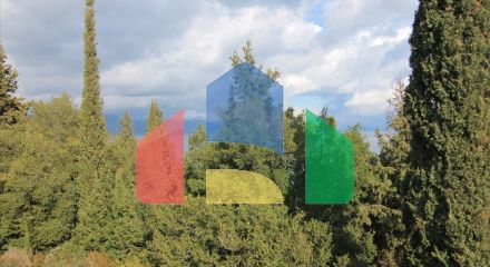 Продажа - Земельный участок 6000 m² на о. Корфу Продажа - Земельный участок 6000 m² на о. Корфу