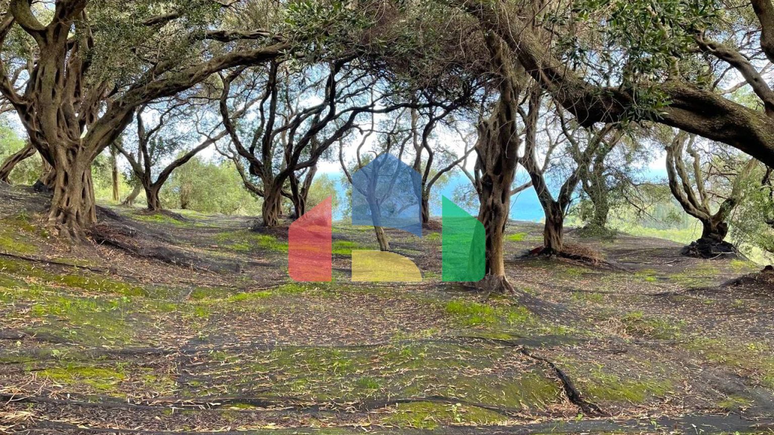 Продажа - Земельный участок 4337 m² на о. Корфу