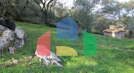 Продажа - Коттедж 130 m² на о. Корфу Продажа - Коттедж 130 m² на о. Корфу