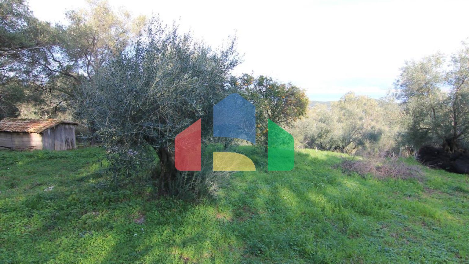 Продажа - Коттедж 130 m² на о. Корфу