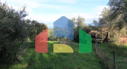 Продажа - Коттедж 130 m² на о. Корфу Продажа - Коттедж 130 m² на о. Корфу