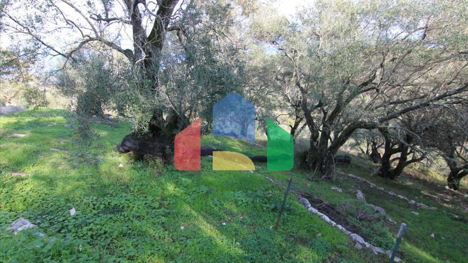 Продажа - Коттедж 130 m² на о. Корфу