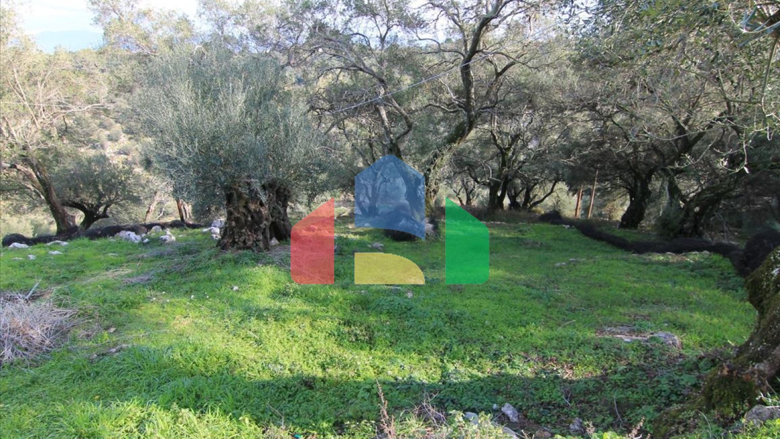 Продажа - Коттедж 130 m² на о. Корфу