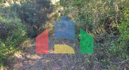 Продажа - Земельный участок 8250 m² на о. Корфу Продажа - Земельный участок 8250 m² на о. Корфу