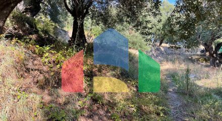 Продажа - Земельный участок 600 m² на о. Корфу Продажа - Земельный участок 600 m² на о. Корфу