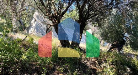 Продажа - Земельный участок 600 m² на о. Корфу Продажа - Земельный участок 600 m² на о. Корфу