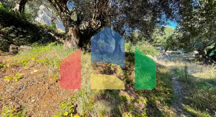 Продажа - Земельный участок 600 m² на о. Корфу Продажа - Земельный участок 600 m² на о. Корфу