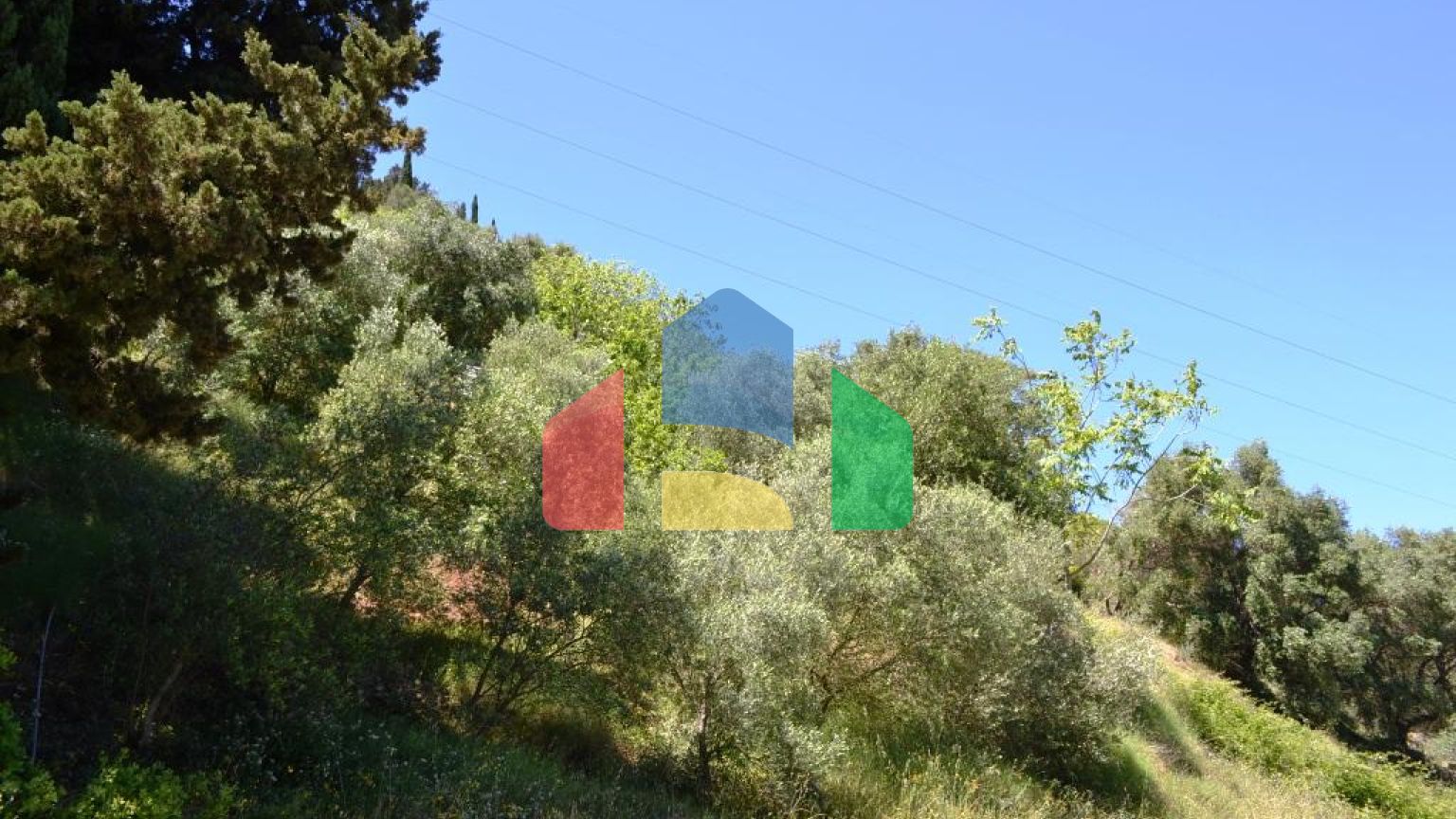 Продажа - Земельный участок 3005 m² на о. Корфу