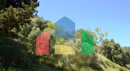 Продажа - Земельный участок 3005 m² на о. Корфу Продажа - Земельный участок 3005 m² на о. Корфу