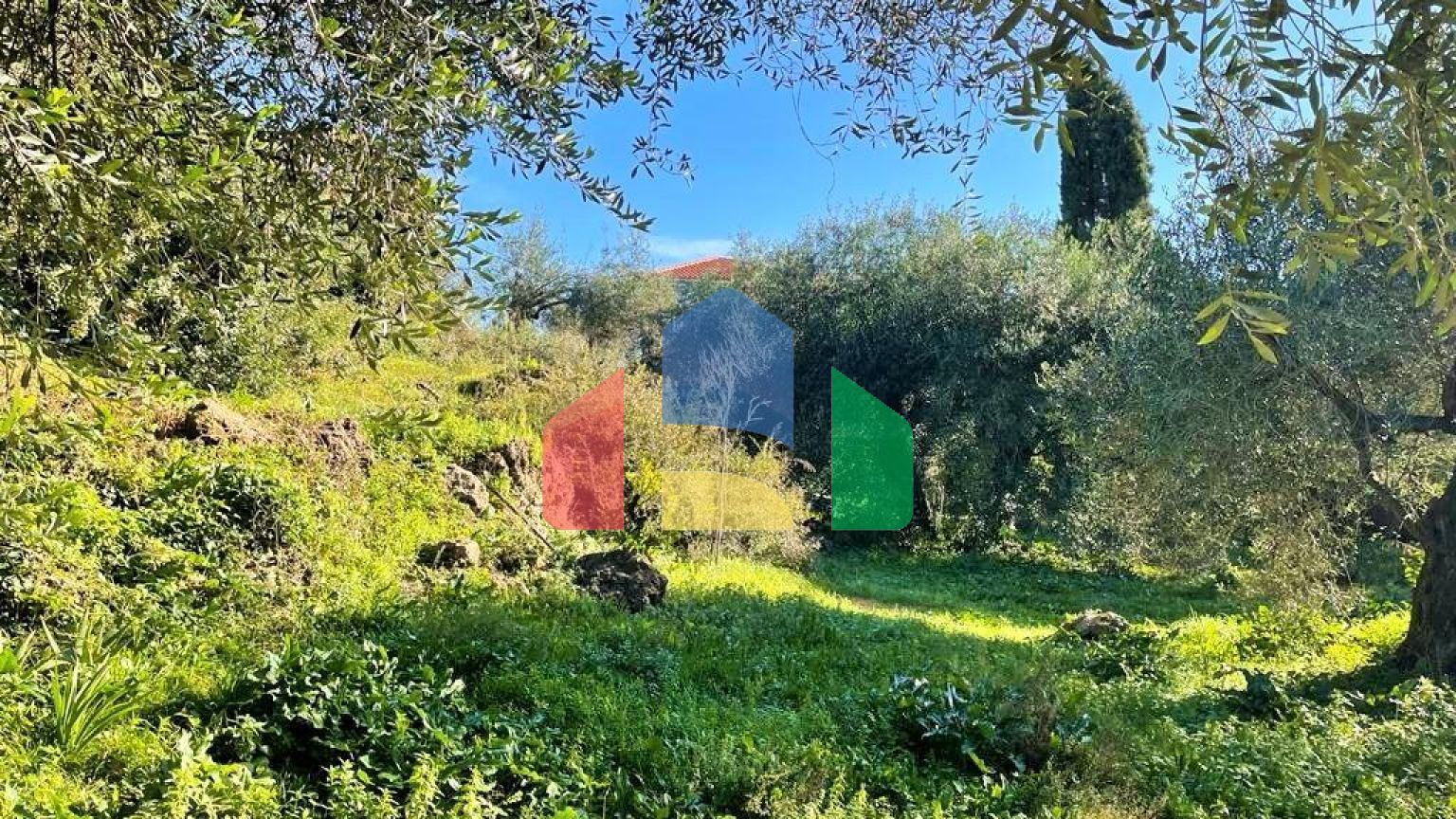 Продаж - Котедж 450 m² на о. Корфу