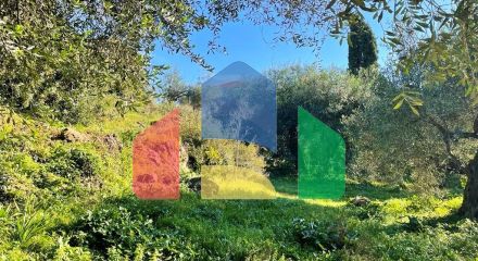 Продаж - Котедж 450 m² на о. Корфу