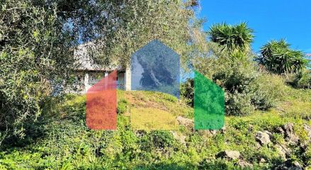 Продаж - Котедж 450 m² на о. Корфу