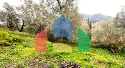 Продажа - Земельный участок 482 m² на о. Корфу