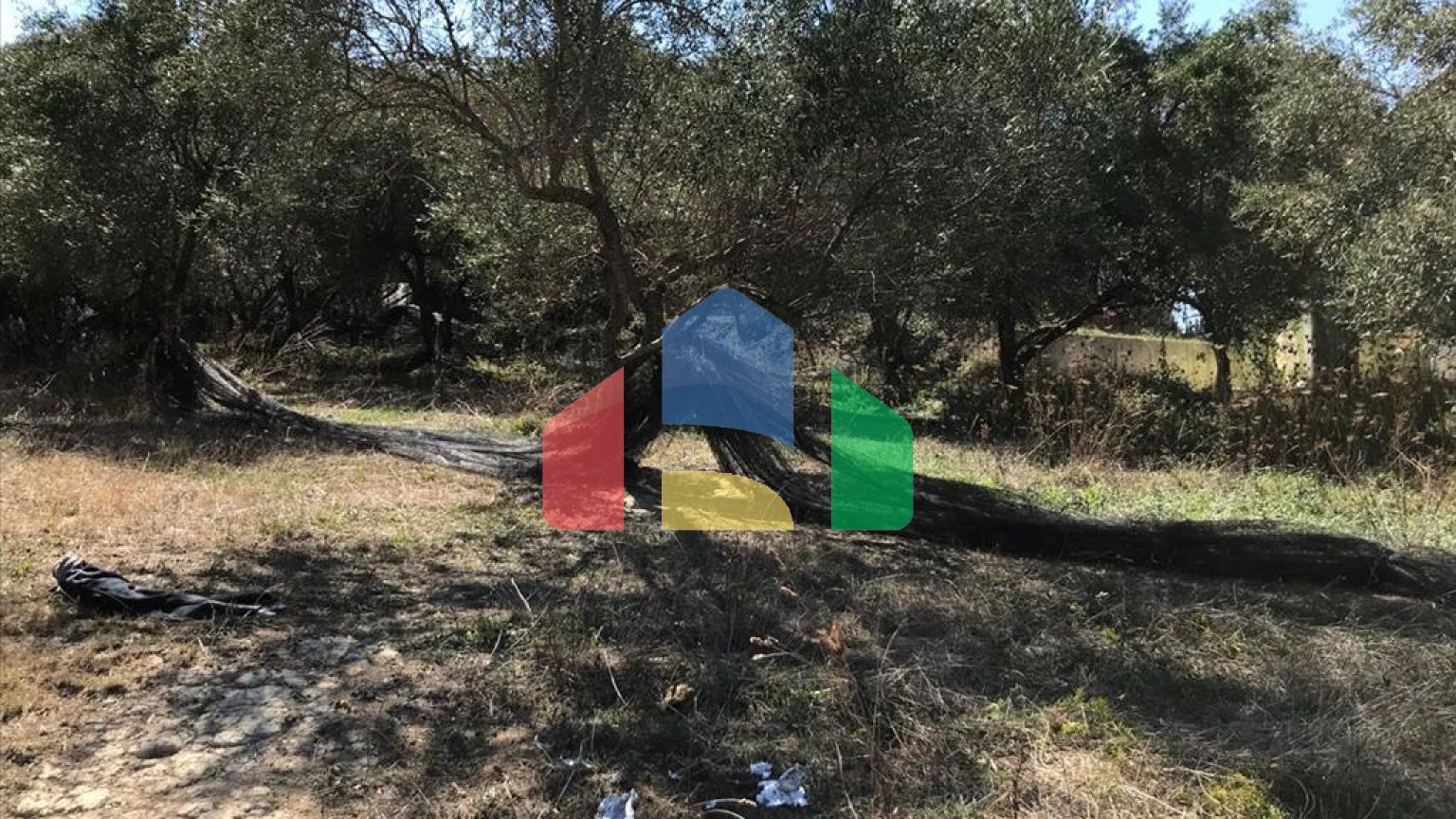 Продажа - Земельный участок 2250 m² на о. Корфу