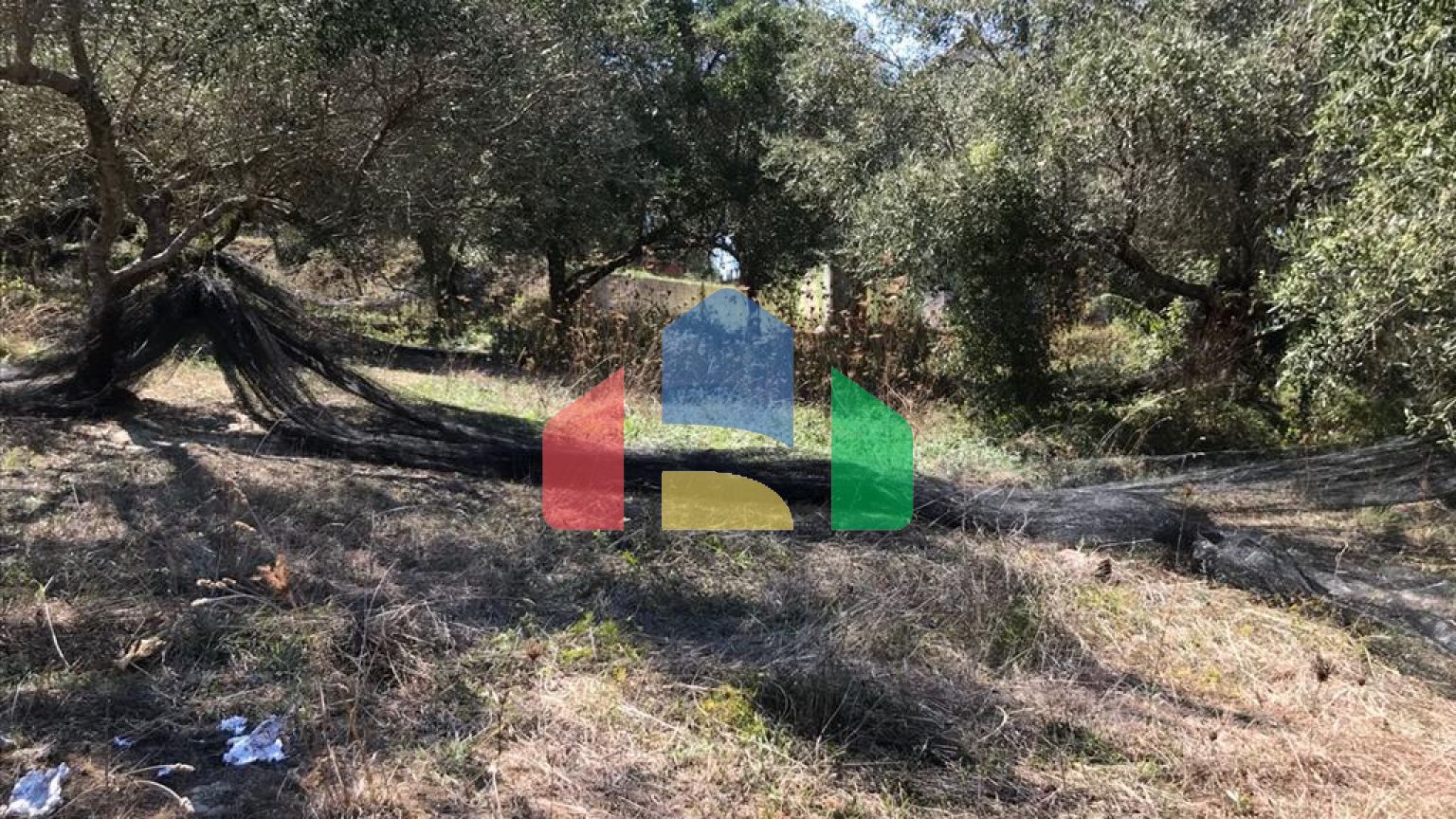 Продажа - Земельный участок 2250 m² на о. Корфу