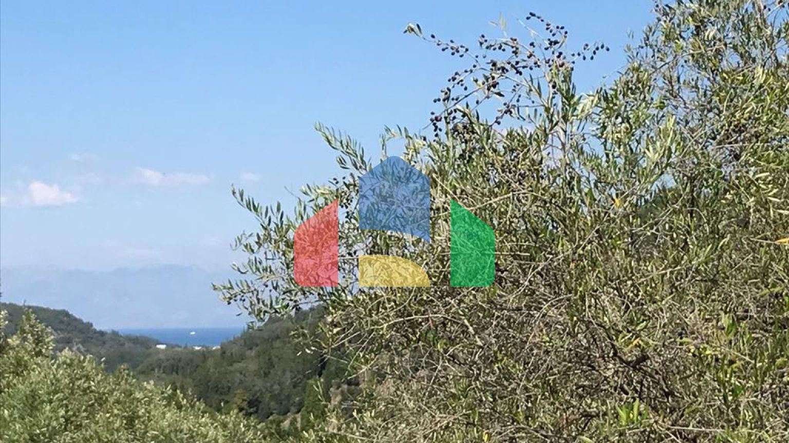 Продажа - Земельный участок 2250 m² на о. Корфу