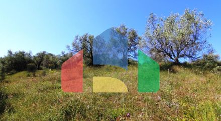 Продажа - Земельный участок 5996 m² на о. Корфу