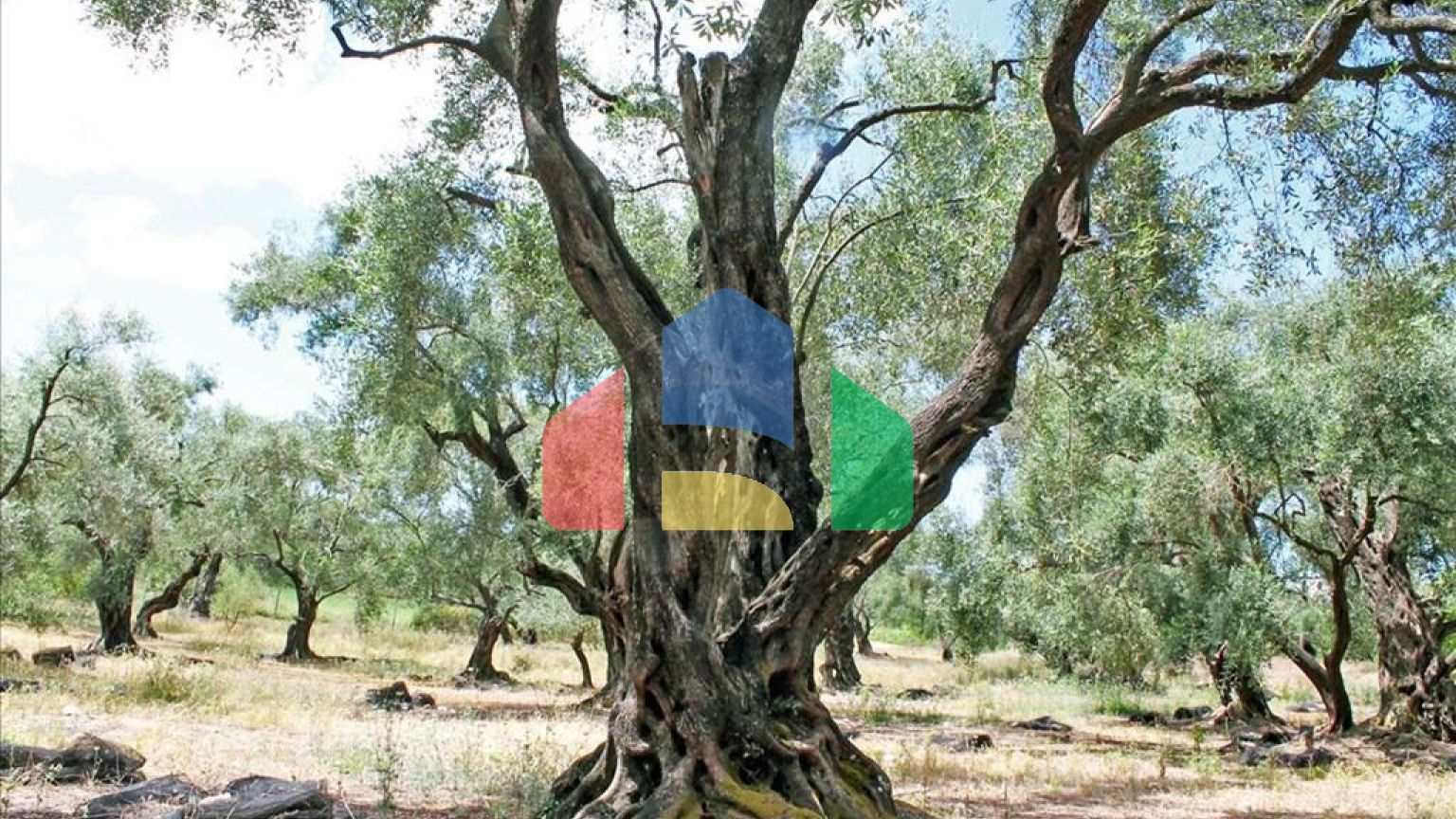 Продажа - Коттедж 166 m² на о. Корфу