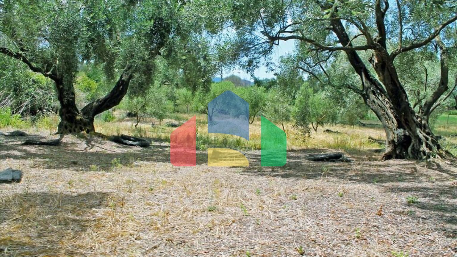 Продажа - Коттедж 166 m² на о. Корфу