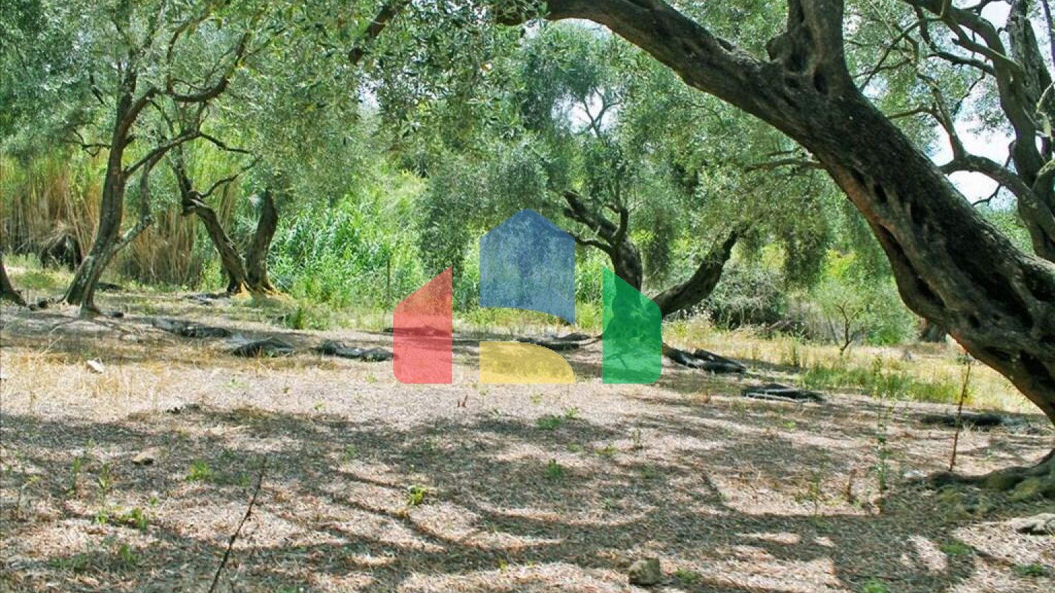 Продажа - Коттедж 166 m² на о. Корфу