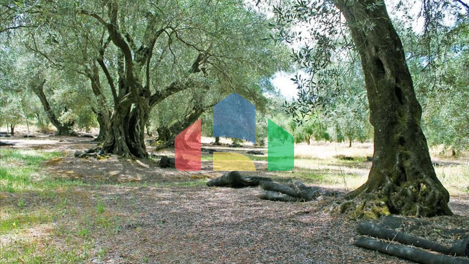 Продажа - Коттедж 166 m² на о. Корфу