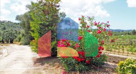 Продажа - Коттедж 166 m² на о. Корфу