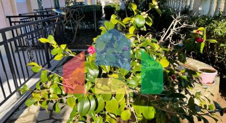 Продаж - Готель 600 m² на о. Корфу