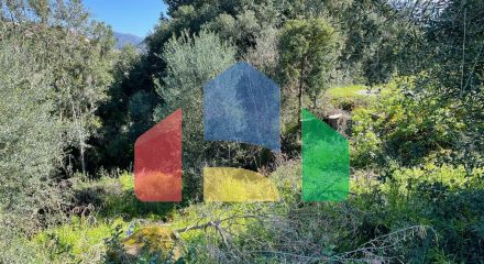 Продажа - Таунхаус 30 m² на о. Корфу Продажа - Таунхаус 30 m² на о. Корфу