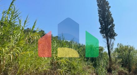 Продаж - Земельна ділянка 11450 m² на о. Корфу