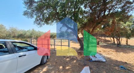 Продажа - Земельный участок на о. Корфу