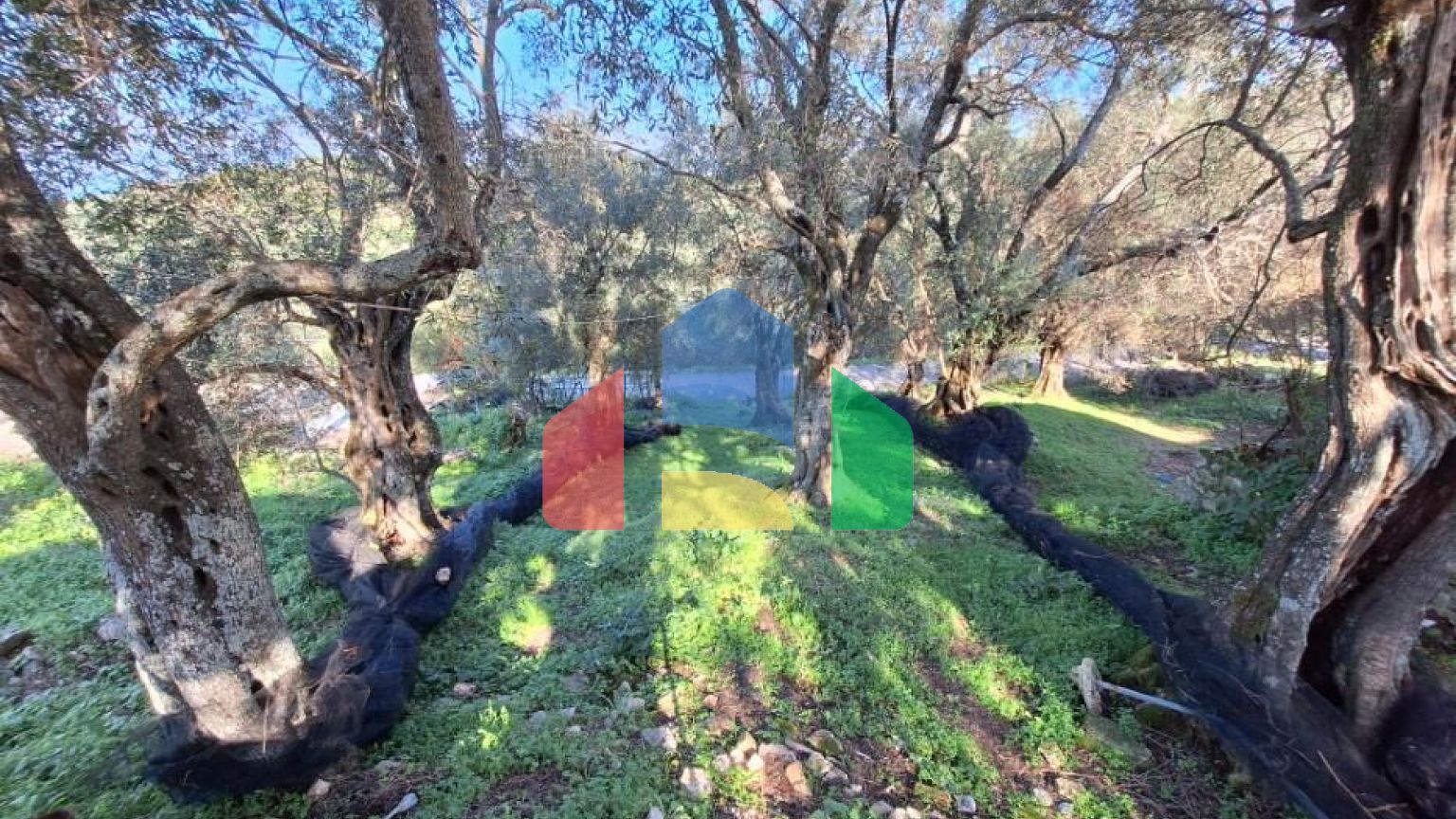 Продажа - Коттедж 105 m² на о. Корфу