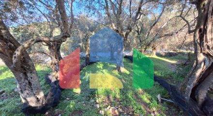 Продажа - Коттедж 105 m² на о. Корфу Продажа - Коттедж 105 m² на о. Корфу