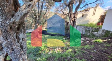 Продажа - Коттедж 105 m² на о. Корфу Продажа - Коттедж 105 m² на о. Корфу