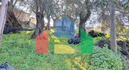 Продажа - Коттедж 105 m² на о. Корфу Продажа - Коттедж 105 m² на о. Корфу