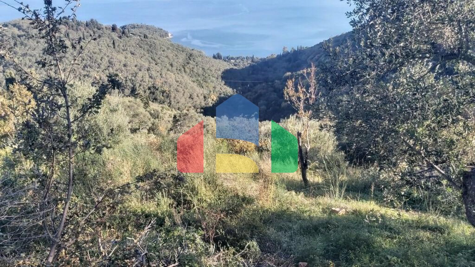 Продажа - Земельный участок 2767 m² на о. Корфу