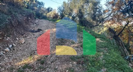 Продажа - Земельный участок 2767 m² на о. Корфу