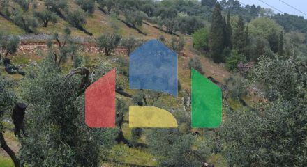 For Sale - Land 3400 m² in Corfu