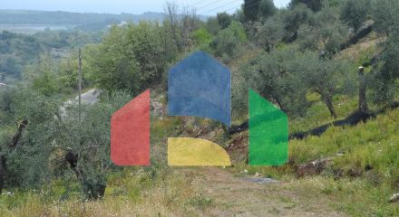 For Sale - Land 3400 m² in Corfu