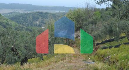 For Sale - Land 3400 m² in Corfu