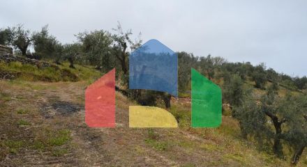 For Sale - Land 3400 m² in Corfu