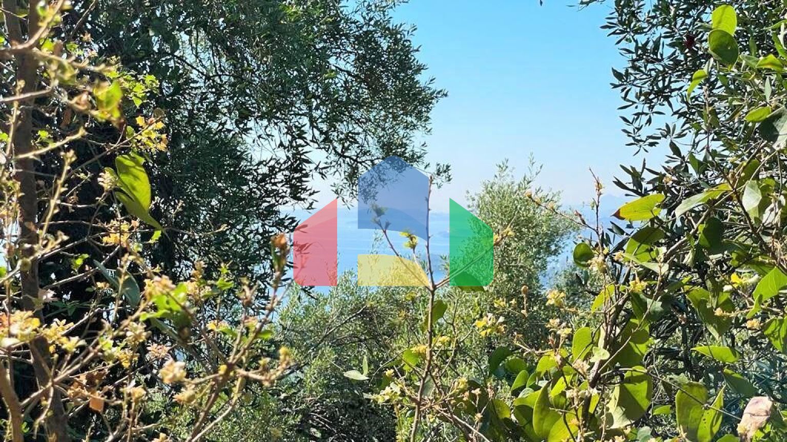 Продажа - Земельный участок 90000 m² на о. Корфу