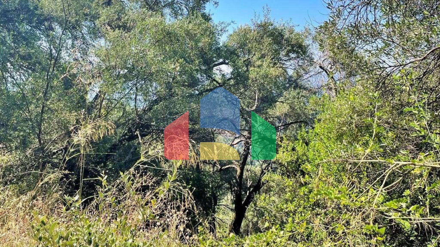 Продажа - Земельный участок 90000 m² на о. Корфу