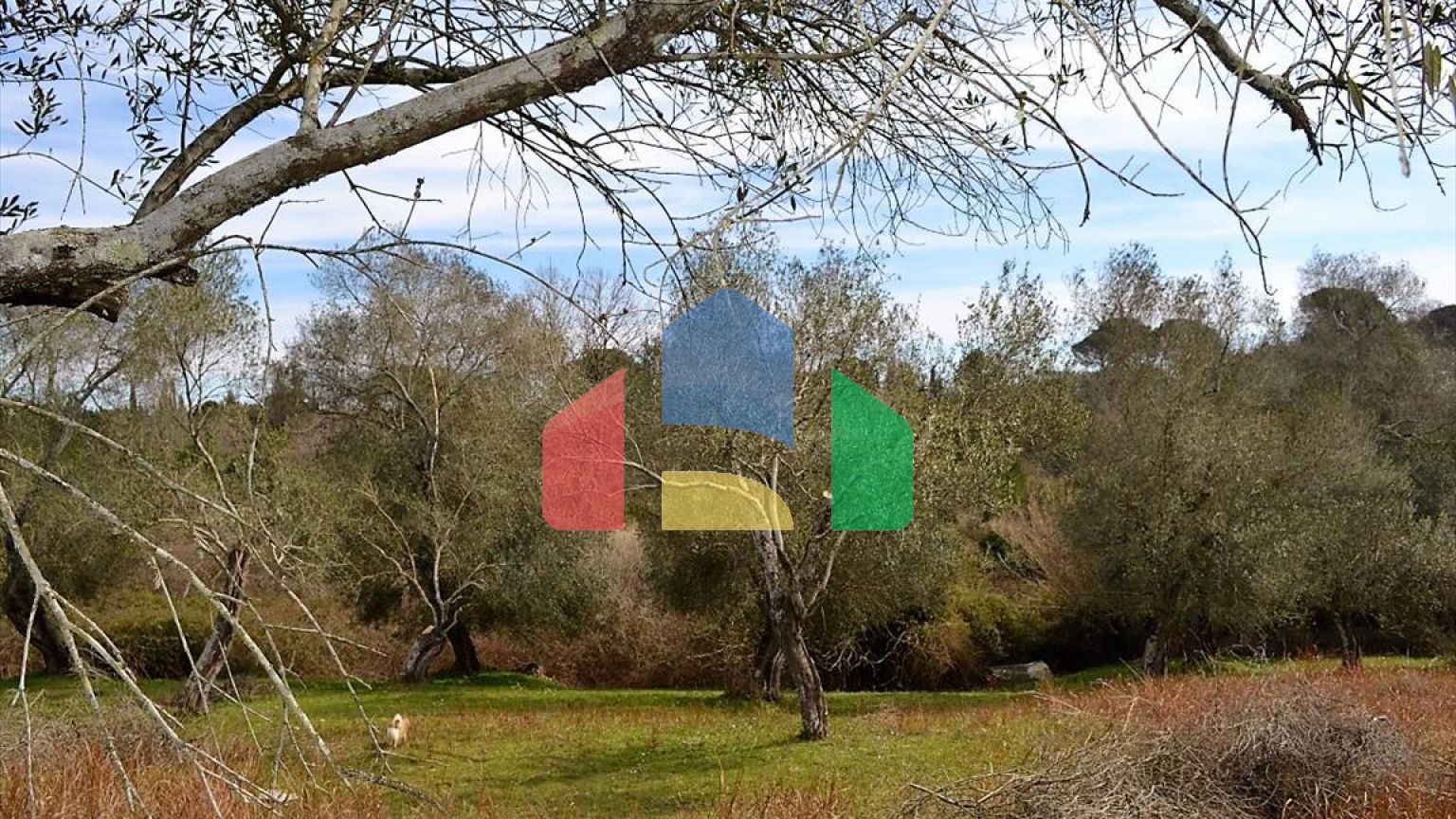 Продажа - Земельный участок 5304 m² на о. Корфу