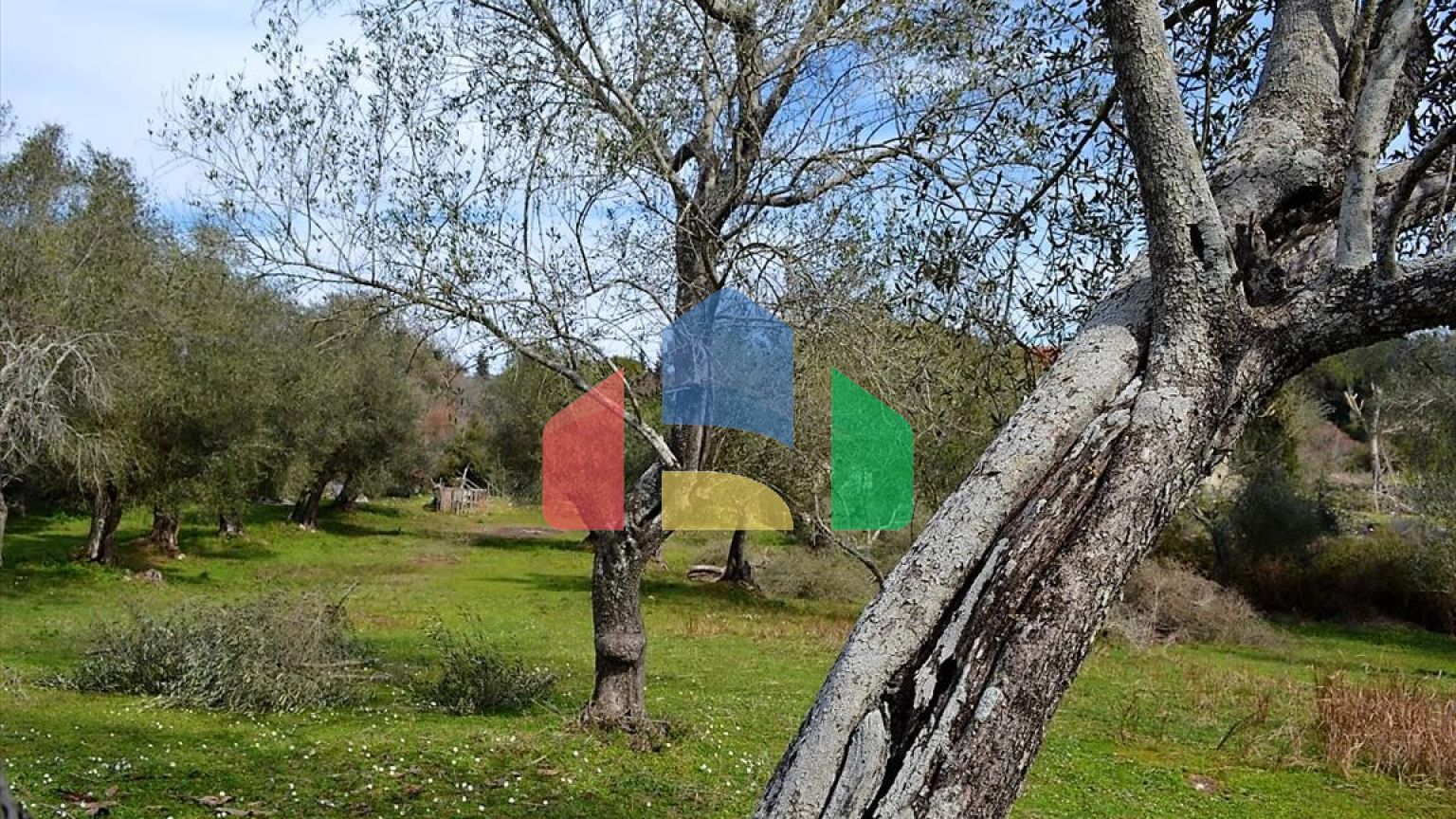 Продажа - Земельный участок 5304 m² на о. Корфу