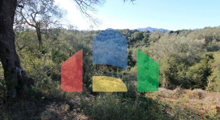 For Sale - Land 6000 m² in Corfu